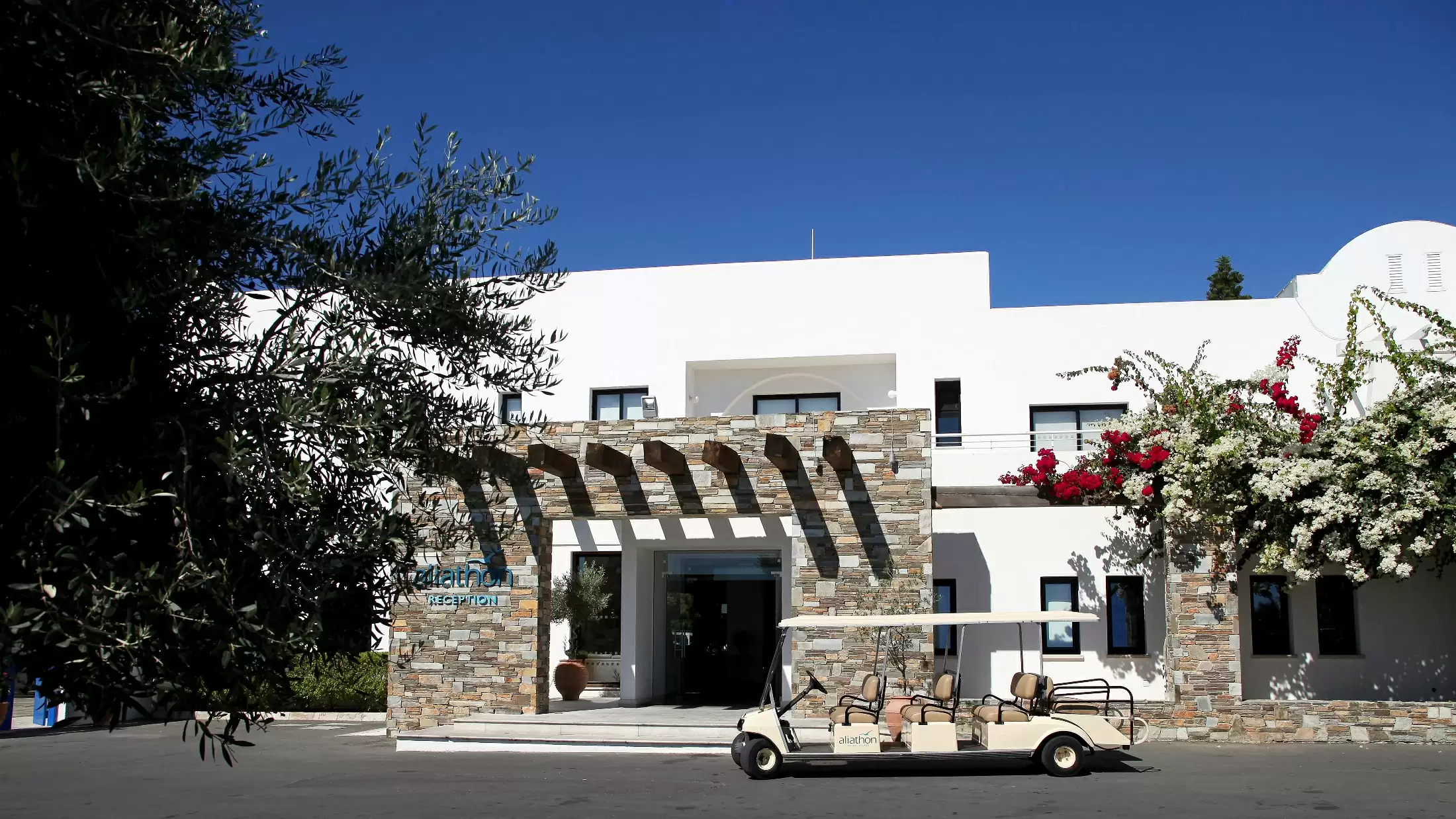 Aliathon Resort slide 5