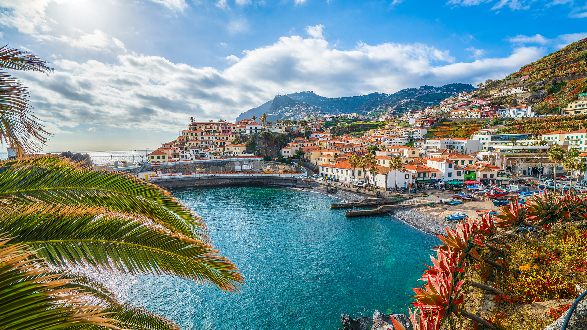 grim Bliv halstørklæde Madeira: Fri golf på Madeira